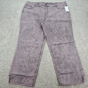 LOGO by Lori Goldstein Rose Smoke Wash Mid Rise Straight Leg Jeans Plus Size 24W